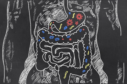 Probiotikumok az elhízás ellen - Milyen lehetőségek vannak?