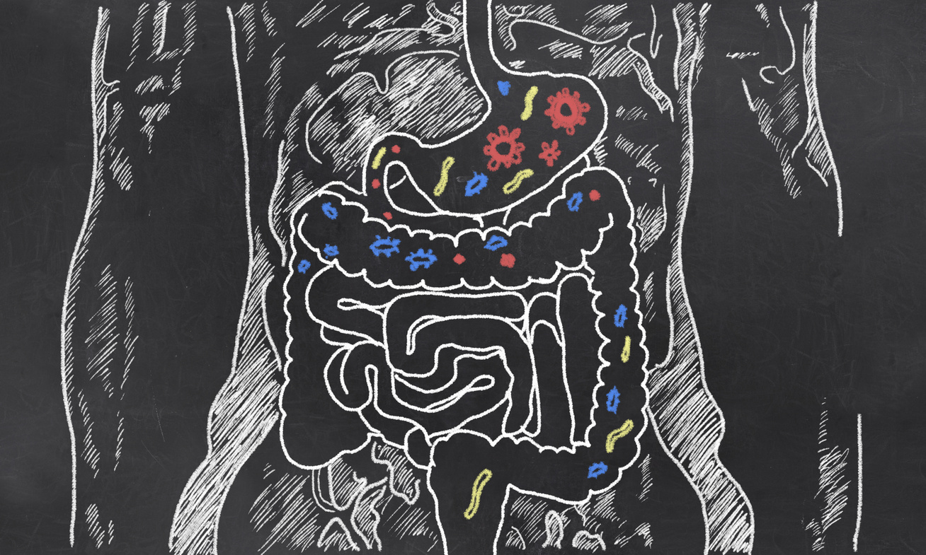 Probiotikum fogyókúra: hogyan működik?