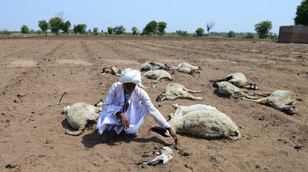 Több száz indiai falu halt ki teljesen a szárazság miatt