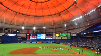 Vándormadárnak állna egy baseballcsapat, Florida és Kanada között ugrálnának