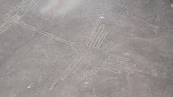 A Nazca-vonalak idegenhonos madarakat ábrázolnak