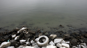 Nyugalomra int a Csatornázási Művek, nem tőlük került szennyvíz a Dunába