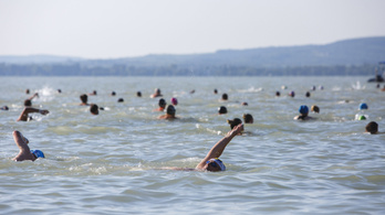 A leggyorsabbak 1 óra 1 perc alatt úszták át a Balatont