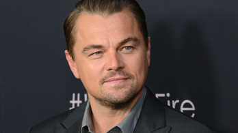 Leonardo DiCaprio létrehoz egy új környezetvédelmi világszervezetet