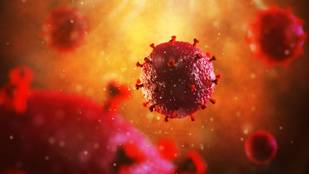 Új módszerrel válhat gyógyíthatóvá a HIV-fertőzés