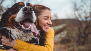 10 tipp, hogy jobb legyen a kapcsolatod a kutyáddal