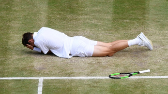 190 km/h-s labdával találták fejen Mahut-t a Wimbledoni döntőben