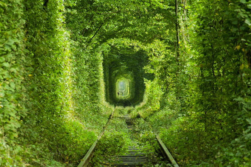 Tündérmesébe illik a Szerelem alagútja: 5 kilométert sétálhattok a zölddel benőtt vágányokon