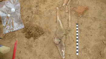 Eddig nem ismert összecsapásra utaló leletekre bukkantak a waterlooi csata helyszínén