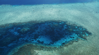 Egyre aggasztóbb a Nagy-korallzátony állapota