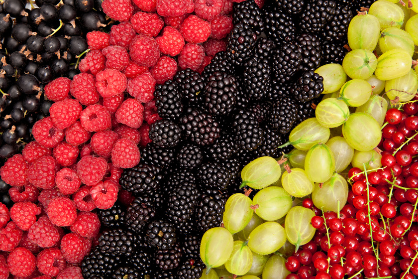 10 gyümölcs, ami nem emeli nagyon a vércukrot: diétázók, cukorbetegek is fogyaszthatják