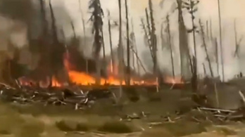 2 millió hektár lángol Szibériában