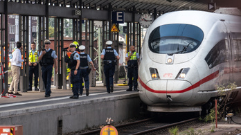Vonat elé lökött egy anyát és 8 éves gyermekét egy férfi Frankfurtban