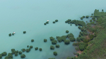 24 milliárd forint uniós pénzt költenek a Balaton víz- és partvédelmére