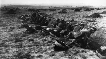 A németek és az oroszok fegyverszünetet kötöttek a világháborúban a farkasok miatt
