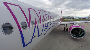 Dobhatja a Wizz Air a Malév GH-t a lehúzások miatt