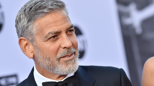 Míg Vastag Csaba George Clooneyval barátkozott Hollywoodban, Bódi Sylvi fehérnemű eladással védené a földet