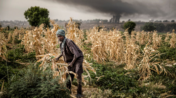 ENSZ: A klímaválság miatt fel kell készülni az élelmiszerválságra is