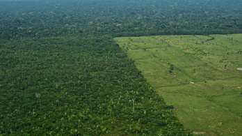Milliárdokkal támogatták a németek a brazil esőerdők megmentését, de hiába, most felfüggesztik