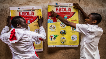 Két új gyógyszer is jó az ebola ellen