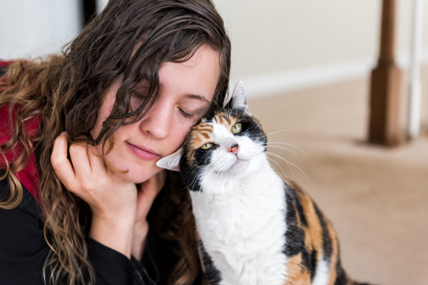 Megható dolgot tesz a cica, amikor sírni látja gazdiját - Szívmelengető történeteket osztottak meg a gazdik