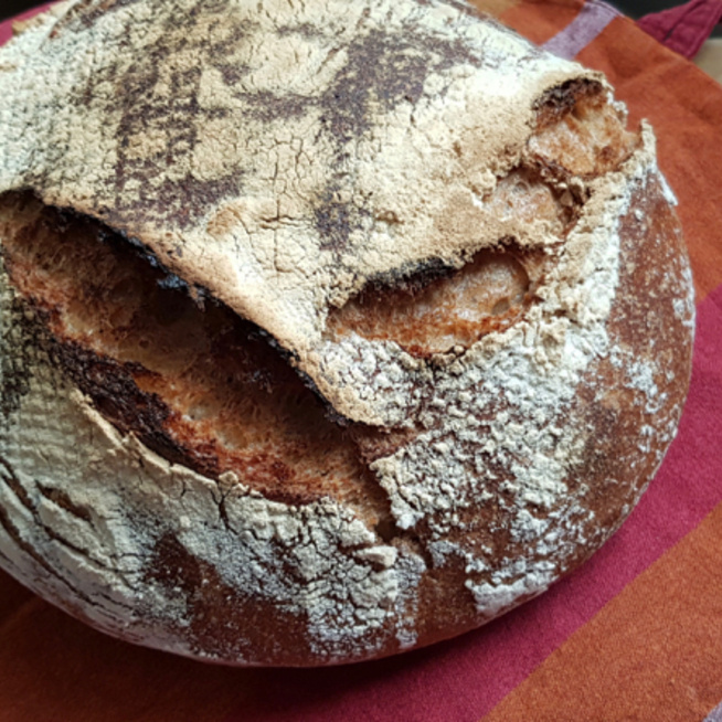 Teljes kiőrlésű házi kenyér - A házi verzió nem száraz fájdalom, mint a bolti