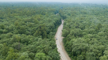 Ökológiai katasztrófa: 2,5 millió fát vágnak ki az új nepáli repülőtér építése miatt
