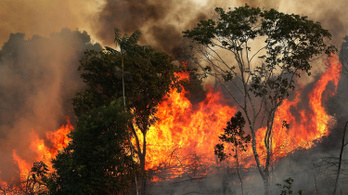 Hatalmas füstbe borult az Amazonas