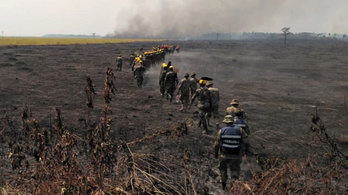 Hétszázezer hektár égett le Bolíviában az Amazonas mentén