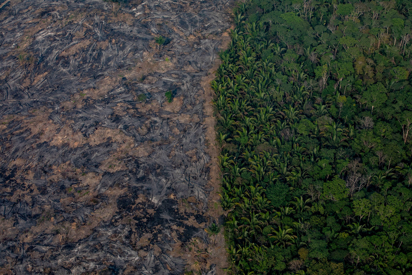 Friss fotók az Amazonas-medencéről: elképzelhetetlen pusztítást végez a tűz