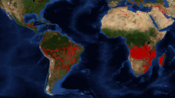 Közép-Afrikában sokkal nagyobb területen pusztít a tűz, mint Brazíliában