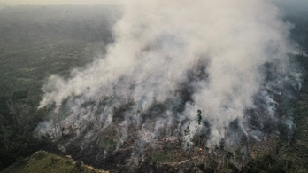 Négyszer annyi erdőtűz pusztít az Amazonas vidékén, mint tavaly