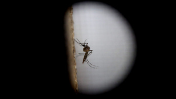 Malaria is back, and it's knocking on the doors of Central Europe
