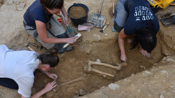 50 csecsemő és magzat sírját tárták fel egy dél-franciaországi ásatáson