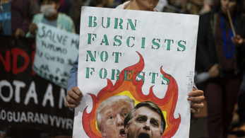 Trump engedélyezné a fakivágást a világ legnagyobb mérsékelt övi esőerdejében