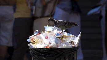 Októbertől tilos lesz műanyagból enni vagy inni a brassói rendezvényeken