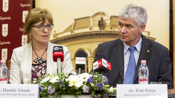 Prosecutor General steps in to prevent ECJ from examining judicial independence in Hungary
