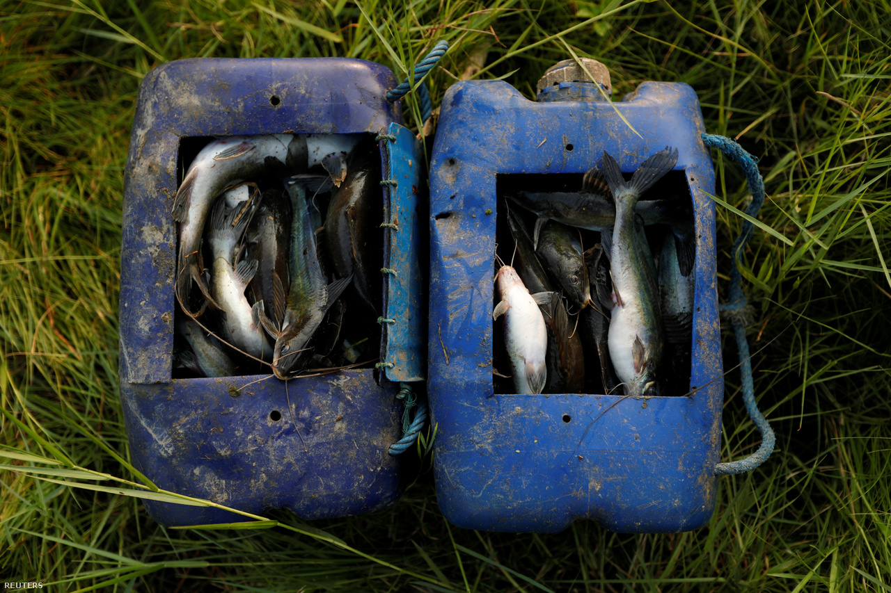 A hulladéknak néha egyéb hétköznapi felhasználásai is vannak a nyugati szemétnek, például bele lehet rakni a közeli folyóban fogott halakat.&nbsp;