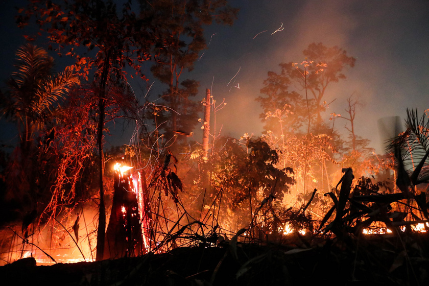 Újra és újra kigyullad az amazonasi esőerdő: hiába oltják, egyre több a tűz