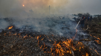 Az indonéziai erdőtüzek füstje komoly légszennyezettséget okoz Malajziában