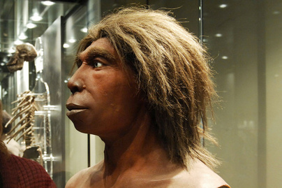 neandervolgyi