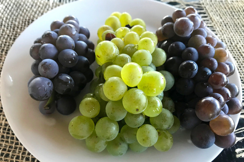 tányér szőlő