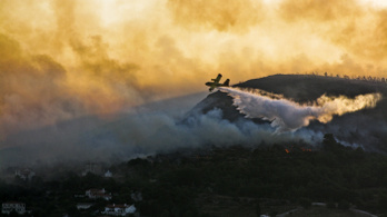 Egy nap alatt 80 új erdőtűz ütött ki Görögországban