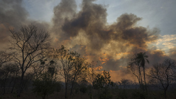 Közel két és fél millió hektár égett le Bolíviában az Amazonas mentén