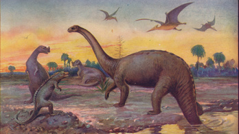 A dinók idejében magasabb volt a szén-dioxid-szint, mint most