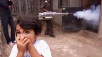 Hondurasban már 144 ember halt bele a dengue-lázba