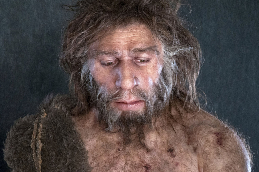 A Neander-völgyiek halálukig segítették vak és siket családtagjaikat: nem csak gondozták őket