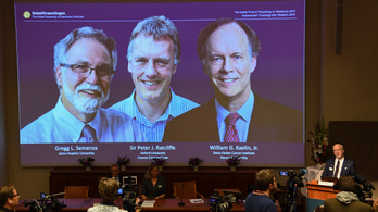 Oxigénhiányos sejtek kutatói kapták az orvosi Nobel-díjat