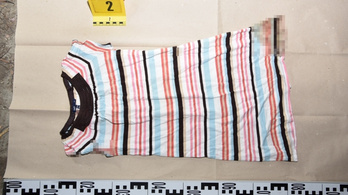 Nyomravezetői díjjal keresik a tótkomlósi halott csecsemő feltételezett gyilkosát