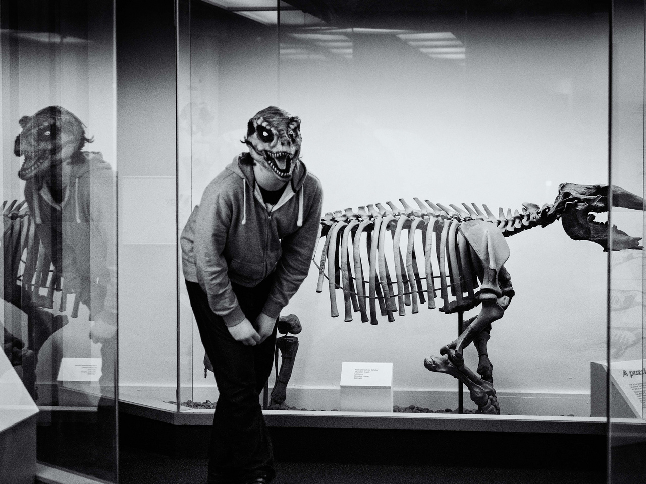 Az autizmussal élő tinédzser Kallan kedvenc helyszínén, a londoni Természettörténeti Múzeumban játszik dínósat.